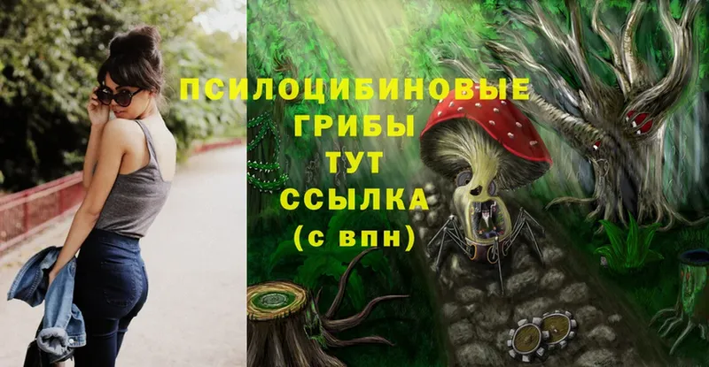 Псилоцибиновые грибы Psilocybe  нарко площадка как зайти  Бугуруслан 